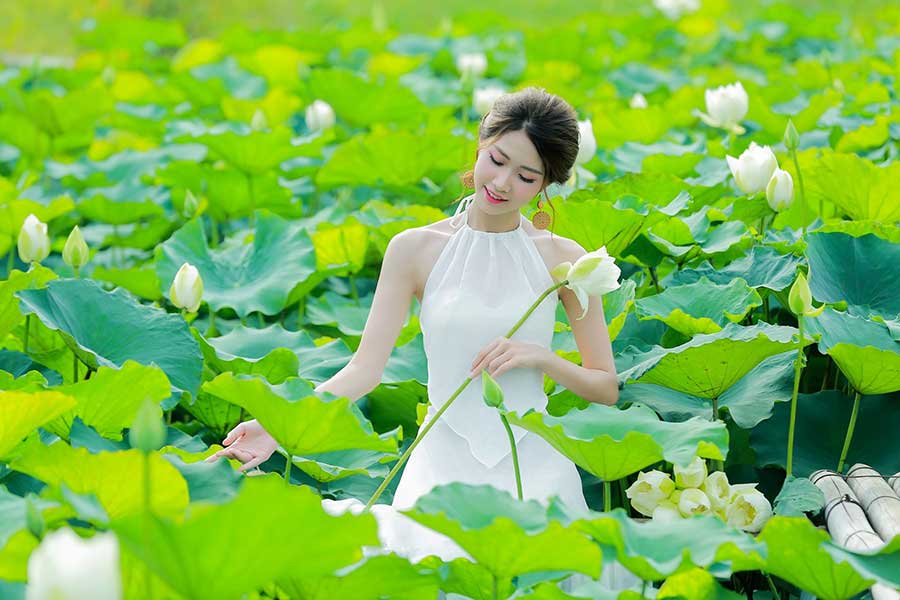 101+ Tư Thế Chụp Ảnh Sống Ảo Với Hoa Sen Đẹp Lung Linh Triệu Like