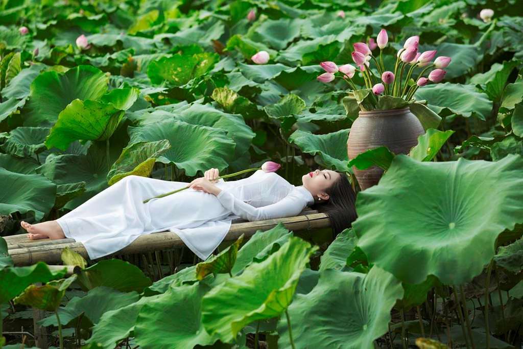 101+ Tư Thế Chụp Ảnh Sống Ảo Với Hoa Sen Đẹp Lung Linh Triệu Like