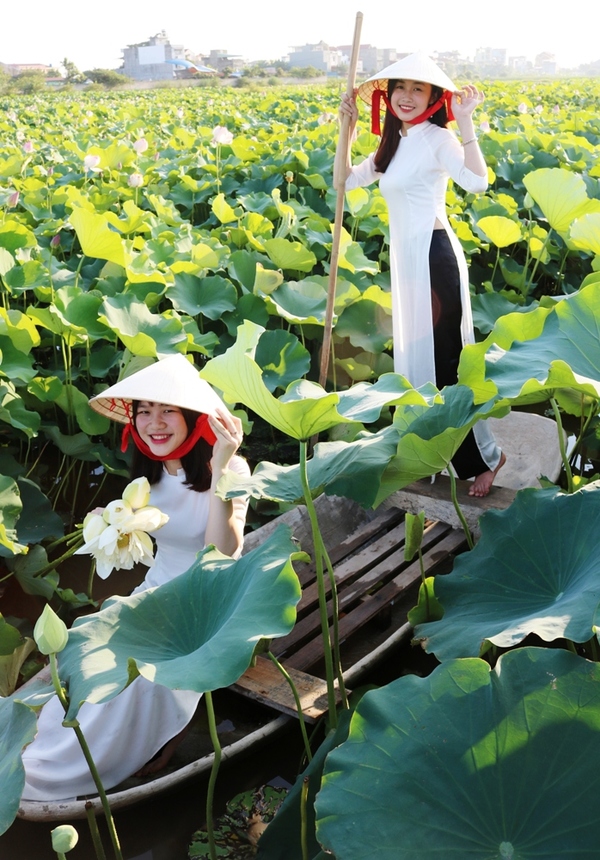 101+ Tư Thế Chụp Ảnh Sống Ảo Với Hoa Sen Đẹp Lung Linh Triệu Like