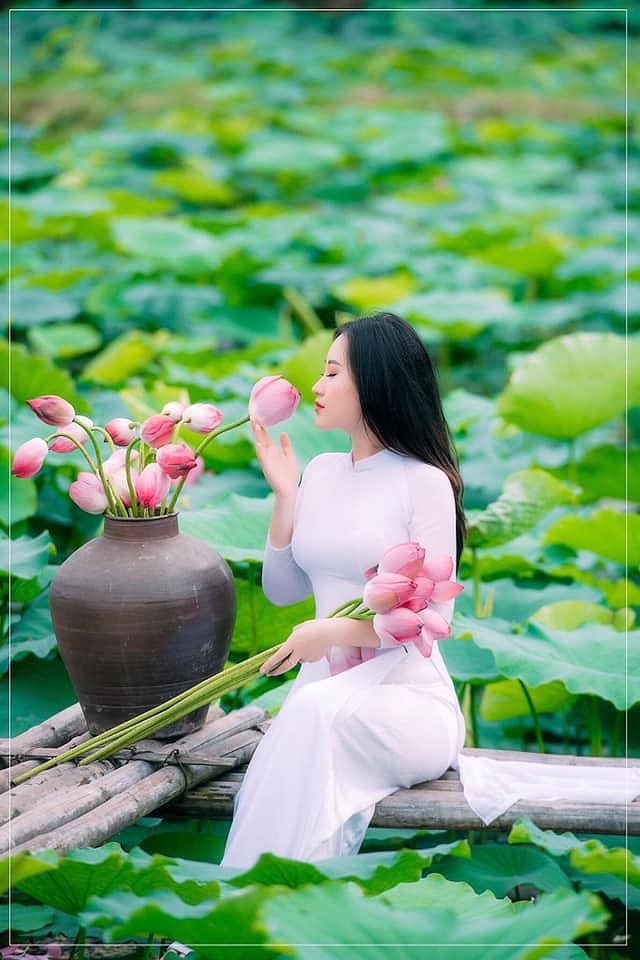 101+ Tư Thế Chụp Ảnh Sống Ảo Với Hoa Sen Đẹp Lung Linh Triệu Like