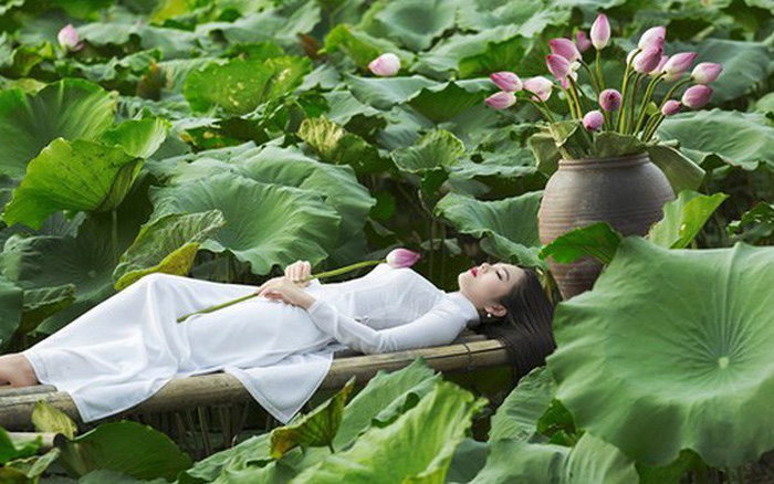 101+ Tư Thế Chụp Ảnh Sống Ảo Với Hoa Sen Đẹp Lung Linh Triệu Like