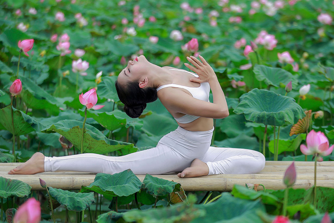 101+ Tư Thế Chụp Ảnh Sống Ảo Với Hoa Sen Đẹp Lung Linh Triệu Like