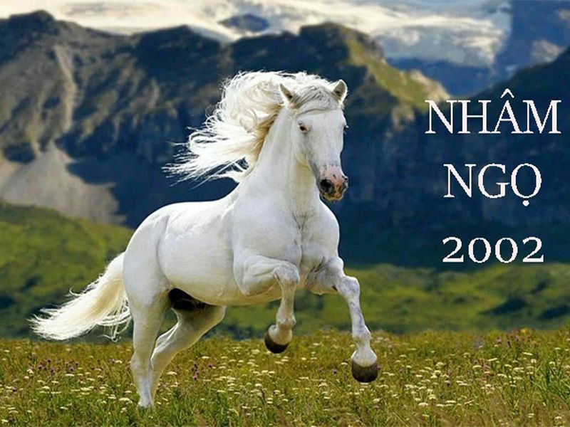 Tuổi Giáp Ngọ Hợp Màu Gì – Kỵ Màu Gì Nhất? Xem ngay kẻo lỡ