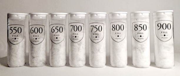 Lông vũ là gì và những điều bạn cần biết - Canifa