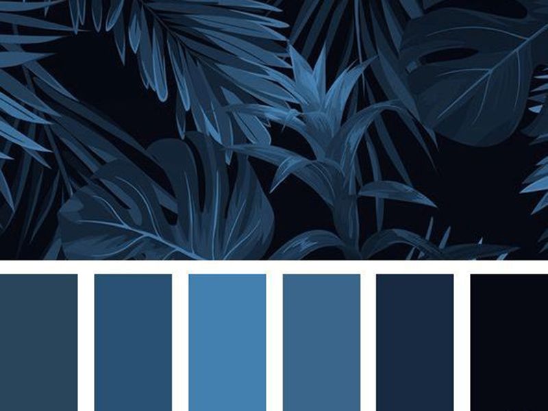 Màu xanh hải quân là màu gì? Ý nghĩa và ứng dụng