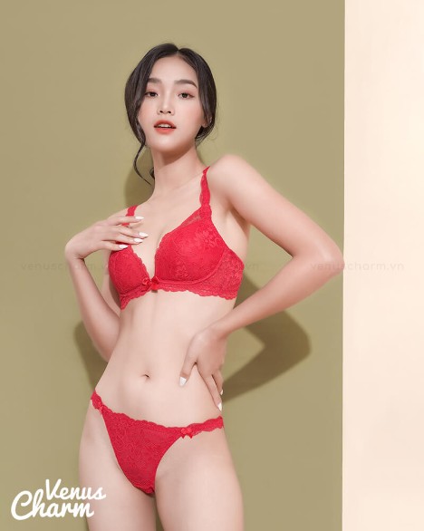 Top 12 thương hiệu đồ lót nữ được yêu thích tại Việt Nam