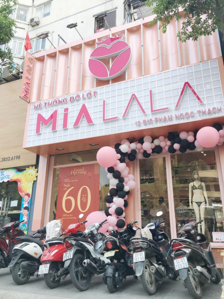 Top 12 thương hiệu đồ lót nữ được yêu thích tại Việt Nam