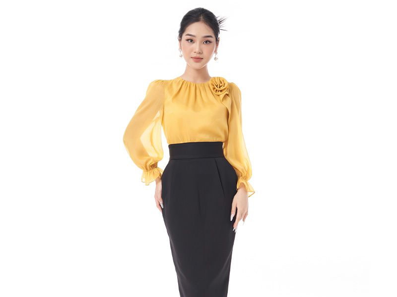 Tuổi Mão (Tuổi Mão) hợp màu gì? Chọn màu xe cho người sinh năm Kỷ Hợi hợp phong thủy nhất