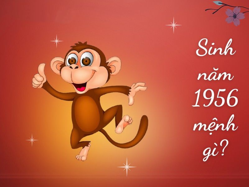 Màu nào hợp với tuổi và màu nào không hợp? Kiểm tra nó ngay lập tức