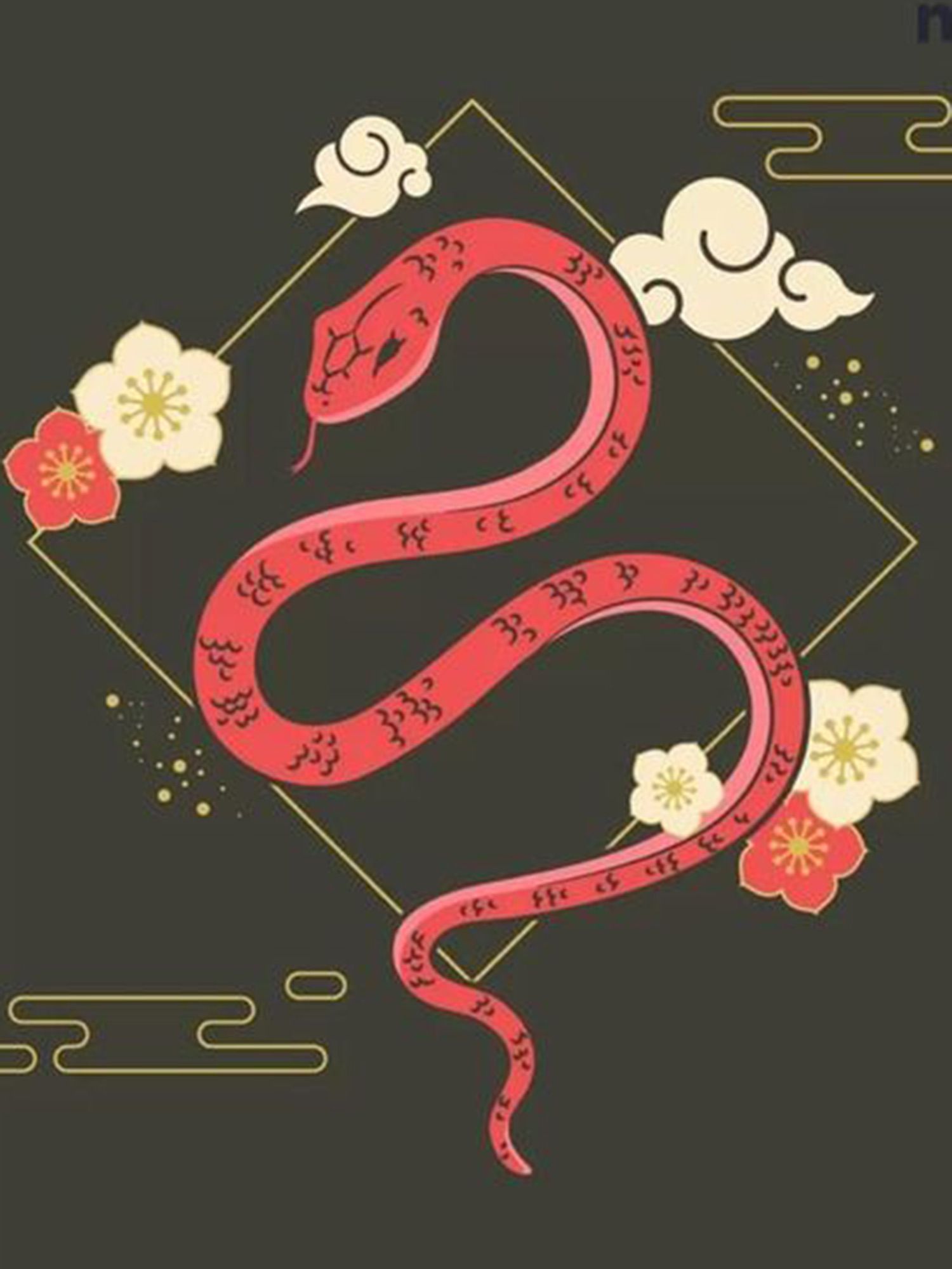 Màu gì hợp tuổi? Màu sắc trang phục hợp với người tuổi Tỵ theo từng mệnh