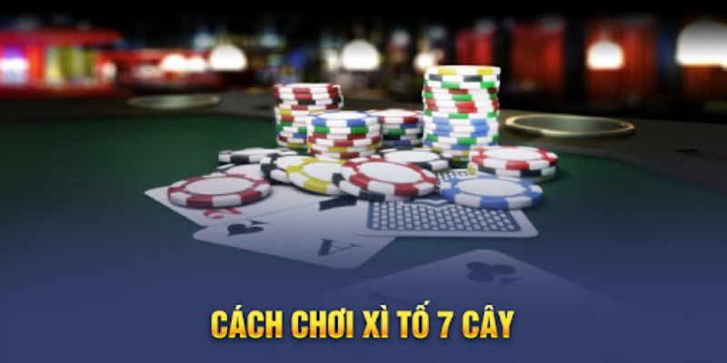 Cách chơi chi tiết bài Poker 7 lá từ một người chơi kỳ cựu