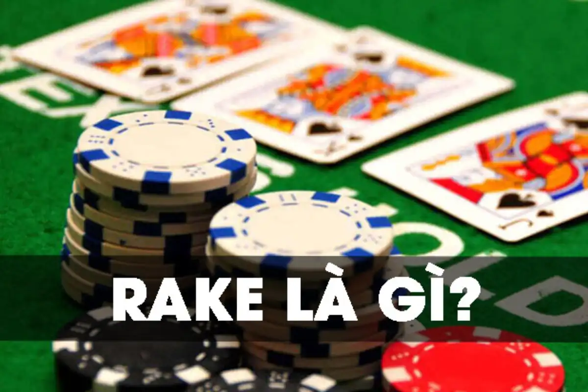 Rake trong poker là gì và vai trò của nó trong trò chơi - XO88