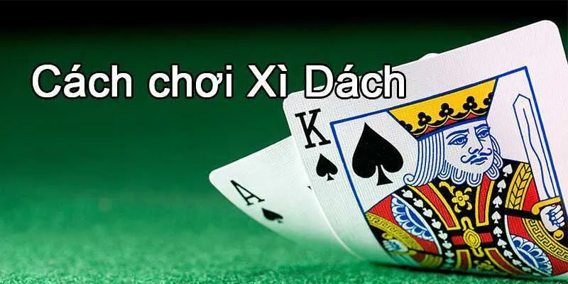 Chiến lược chơi Blackjack thông minh dành cho người thích thắng