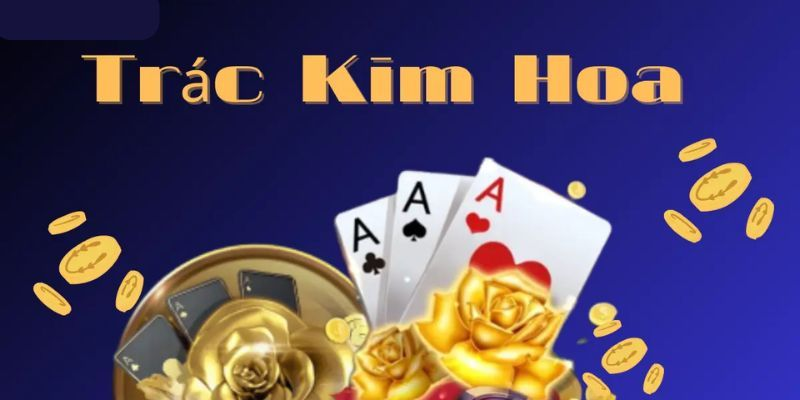 Trác Kim Hoa Hi88 - Khám Phá Bí Mật Cuộc Sống Thú Vị