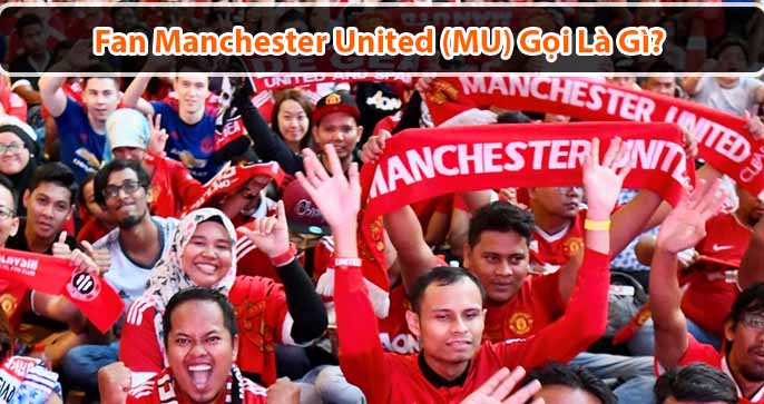 Bạn gọi người hâm mộ MU là gì? Cụm từ "Người hâm mộ Man Utd rút lui vào hang động" bắt nguồn từ đâu?