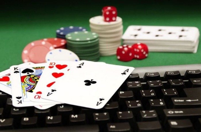 Hướng Dẫn Cách Đánh Bài Câu Cá Chi Tiết Cho Các Tân Binh