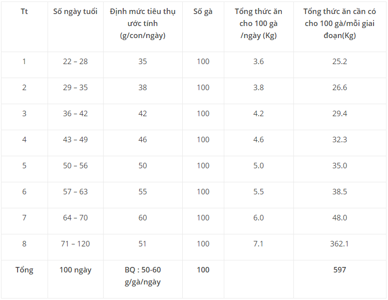 Tiêu chí lựa chọn thức ăn phù hợp cho chăn nuôi gà - Gà thả vườn