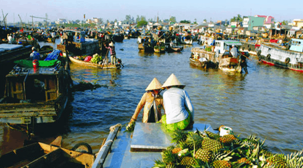 Trái cây được chất lên thuyền (ảnh ST) 12 địa điểm du lịch Vĩnh Long hấp dẫn khách du lịch