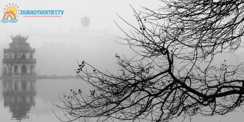 Hiểu rõ các loại gió mùa để chủ động ứng phó