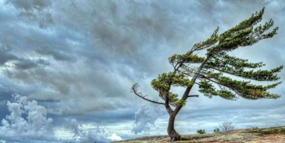 Gió địa phương là gì? Các loại gió địa phương ở Việt Nam?